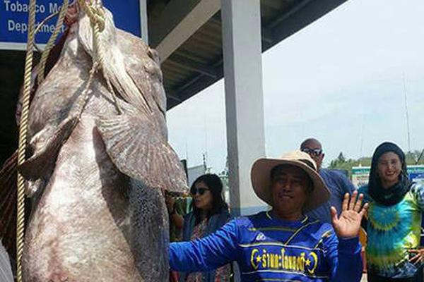 机构分析：预计新西兰联储将加息25个基点