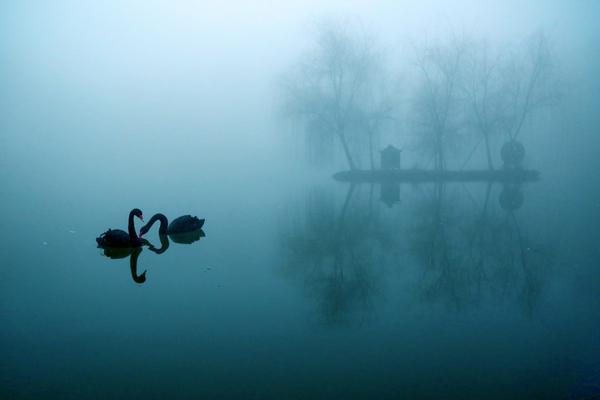  台男阿布達比轉機遭帶走「今淩晨獲釋」 杜拜辦事處安置