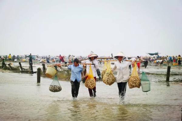 “一个中国”原则上建交的萨尔瓦多 驻华使馆开馆