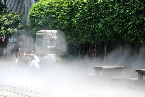 网友“过午不食”从145斤瘦到96斤 这真的安全吗？