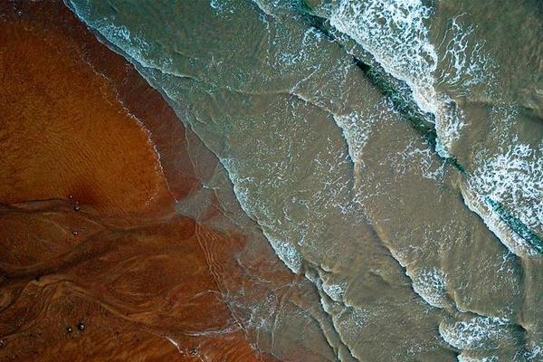 蟋蟀又称什么名字