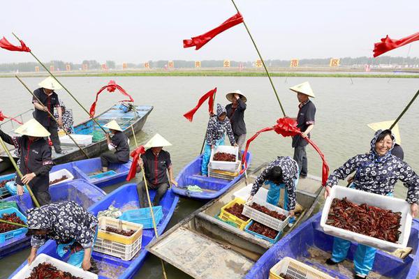 深圳东门水会正规吗?新手必看的防坑避雷指南,深圳东门休闲会所