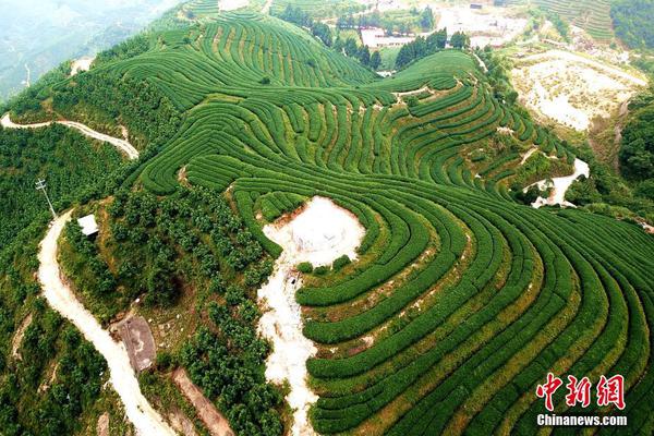 2025新澳门精准正版免费大全详细解答、解释与落实