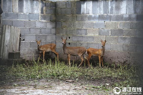 治愈HIV最新突破病毒根除或长效控制？专家解读最新研究成果