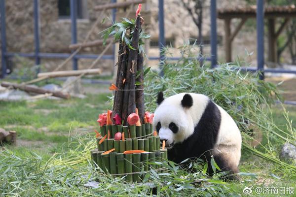 武汉代孕机构有几家移植前一天注意事项