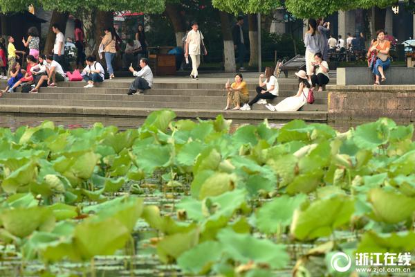 只有冬夏再无春秋什么梗