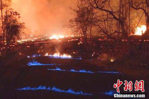 玉米直男什么梗