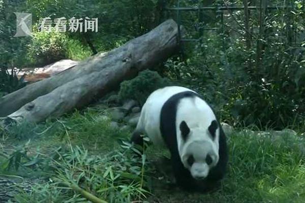 朱婷发文寄语五四青年节：心怀梦想 脚踏实地
