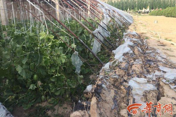 小米足环5甚么时候出 小米足环5公布时候与服从先容