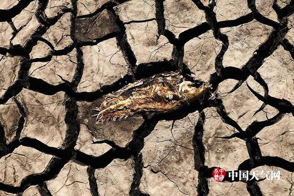 南瓜饼要怎么做