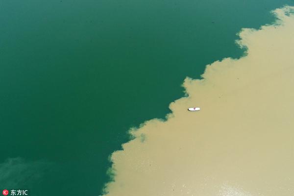 网红主播偷税漏税：直播带货的流量与利益生态
