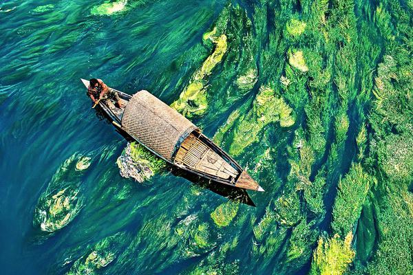 去溱湖看“世界最大的水上庙会”