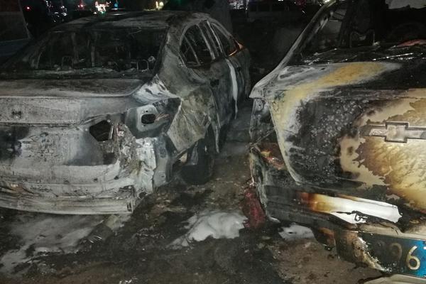 可以用冰凍梭子蟹煮粥嗎 