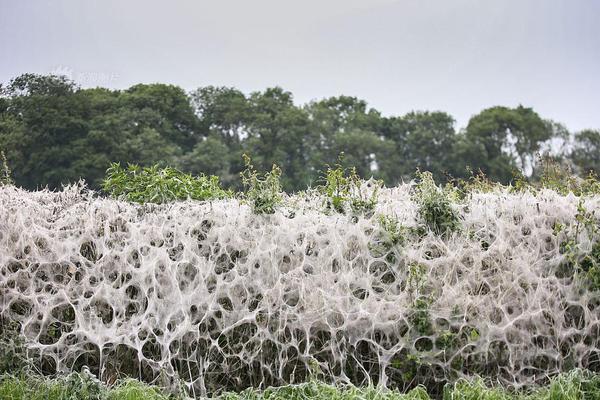 Исторический обзор: Классические моменты, когда мы смотрели None вместе