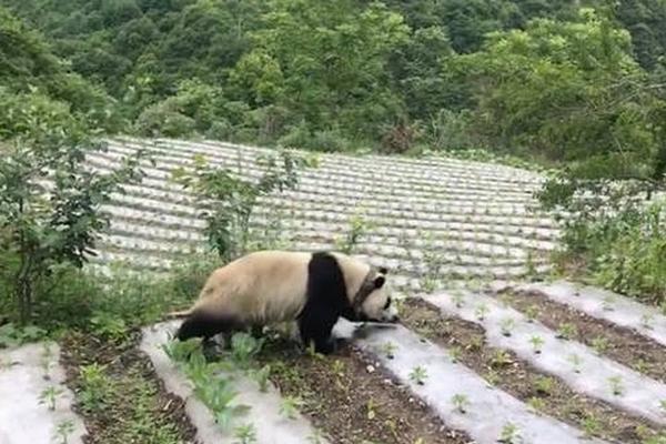 科技添创意 文化绽魅力