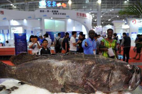 霓虹背後的指尖盛宴：揭秘香港線上娛樂城的極致誘惑與財富密碼 