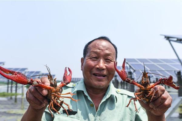 漂流瓶裏有“神仙”？真相讓人哭笑不得