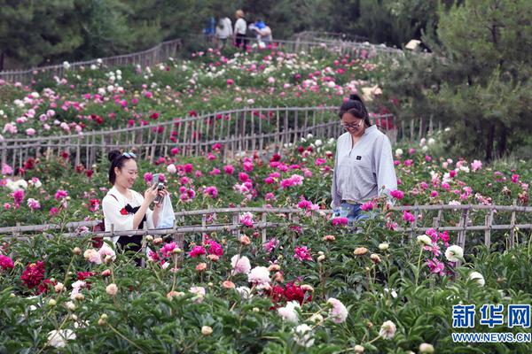 日媒：華為在手機芯片領域直追高通