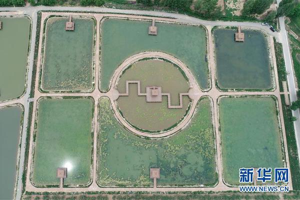 再见了HTC！昔日手机巨头为何走向没落？