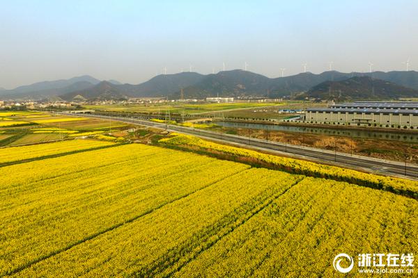 特朗普打了這個電話後 國際油價“閃崩”