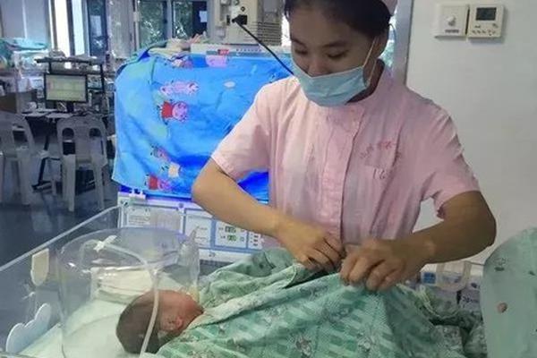 圣彼得堡女子马戏团，精彩纷呈的表演与视频信息