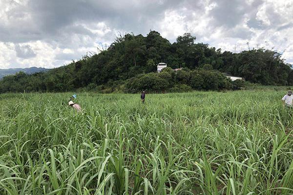 山西通报5起违反中央八项规定精神典型问题