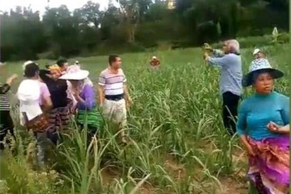 玻璃水冻住了加盐能解冻吗