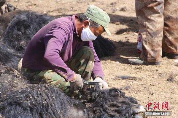 深圳、上海和杭州 哪个城市适合终老？