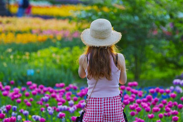 雀神之路：從方城之戰到指尖博弈，為什麼我們永遠戒不掉打麻雀？ 