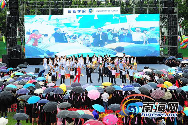管家婆期期四肖四码中特管家,详细解答、解释与落实
