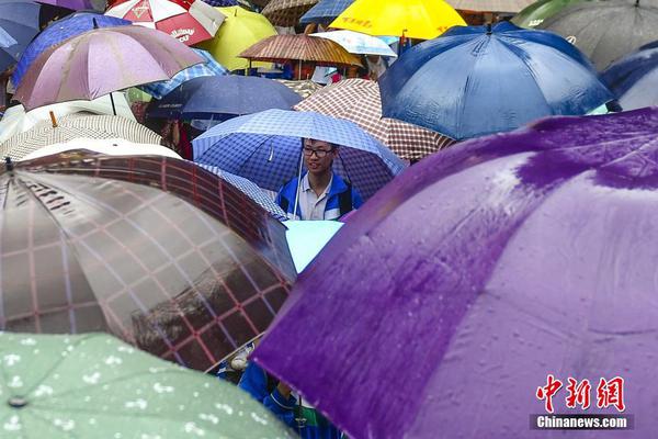  从小白到大神：体育新闻 文化的入门与进阶