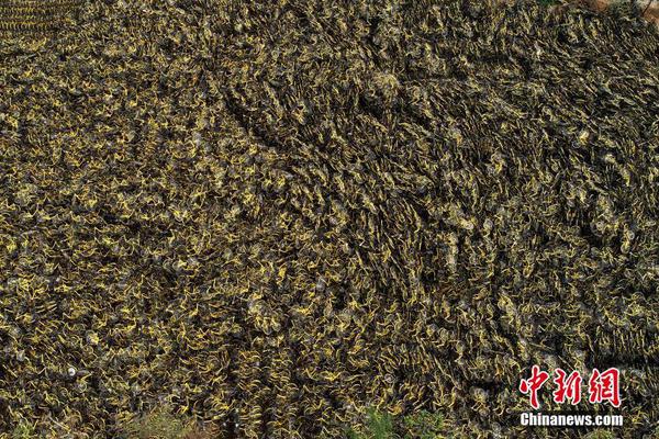 胡适：无知的人，经历苦难才能觉醒；愚昧的人，死到临头执迷不悟