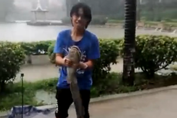 扶她社在线免费观看，视频、评论与剧情介绍