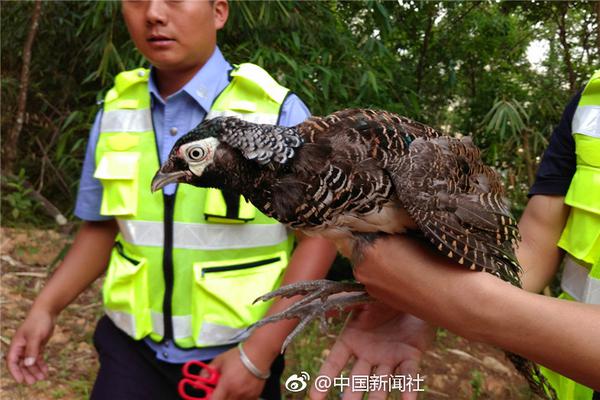 开展义务植树 扮靓美丽家园