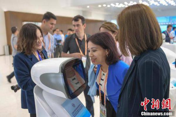 新澳2025年正版资料综合解答,与解释落实