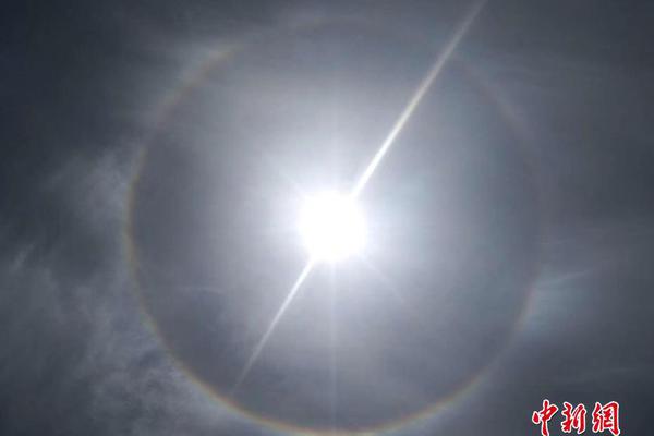 螃蟹运输能活多久