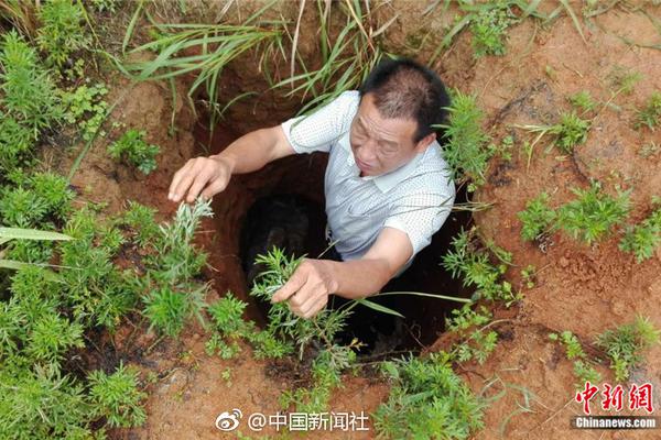 中国美术学院毕业展在杭举行