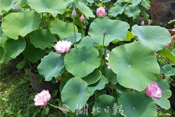 筑牢系统性防线确保考生志愿不被篡改