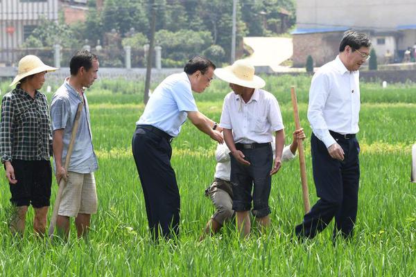 合肥市：公益电影下基层 文化惠民过大年