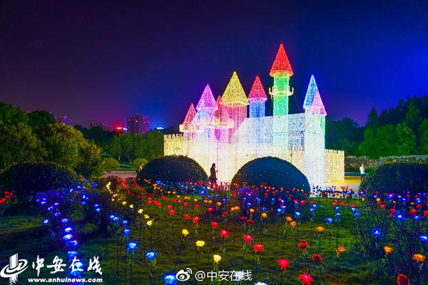 捆绑视频网站，探索与分享在线娱乐资源