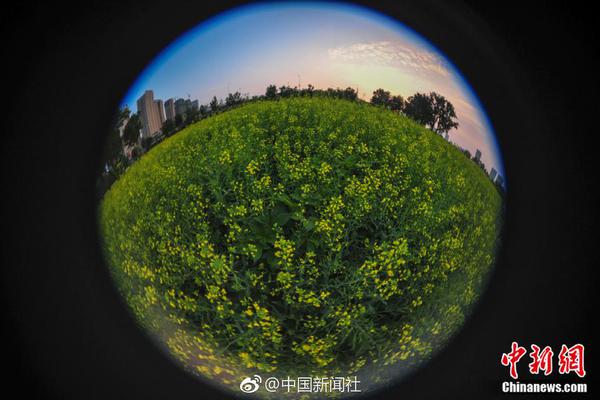 小红书代写产业链:编出"种草"笔记 花钱可上热门推荐