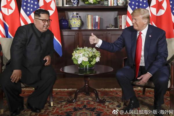 澳门王中王100%的资料2024年全面释义、解释与落实