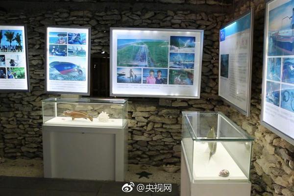山村饥渴的浪寡妇，在线观看与剧情介绍