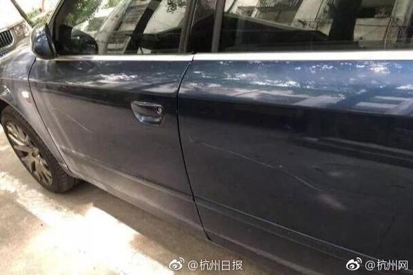 豆苗怎么做好吃？它的好处是什么？