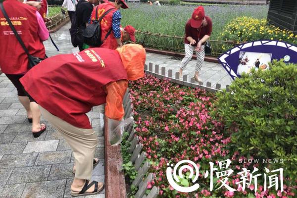 怎么寻找当地的特殊服务,怎么寻找当地的特殊服务呢