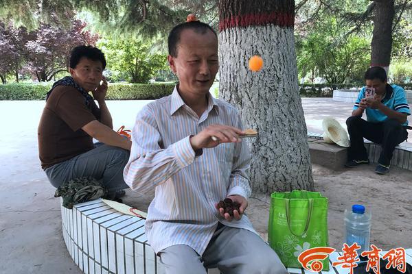 云南跆拳道代表队首次在第二届全国青年运动会上收获奖牌