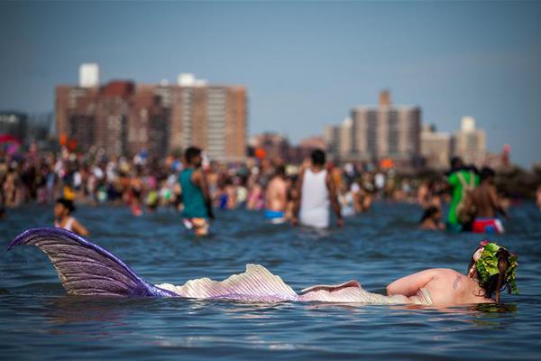 松茸是野生的还是人工种的