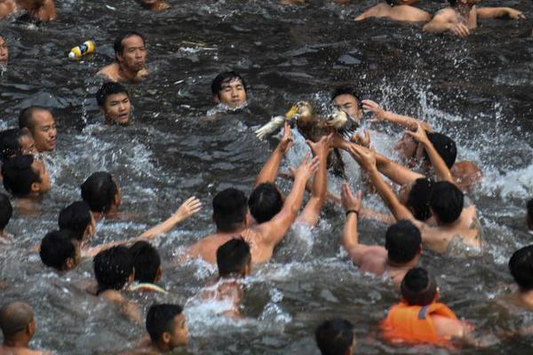 土超队遭遇车祸:捷克国脚苏拉尔离世 西塞等人受伤