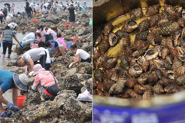 台中棒球狼教練侵犯41童 二審維持90罪判464年