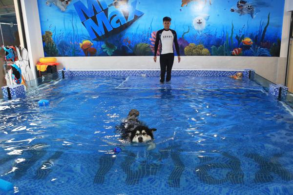 智能时代：德甲 文化如何玩转高科技设备？